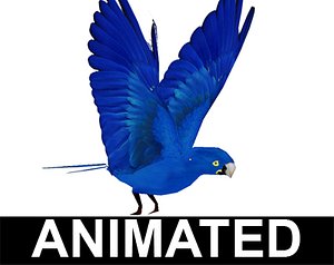 maya macaw blue