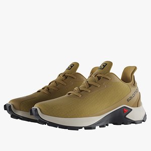 Salomon Alphacross 3 Brown