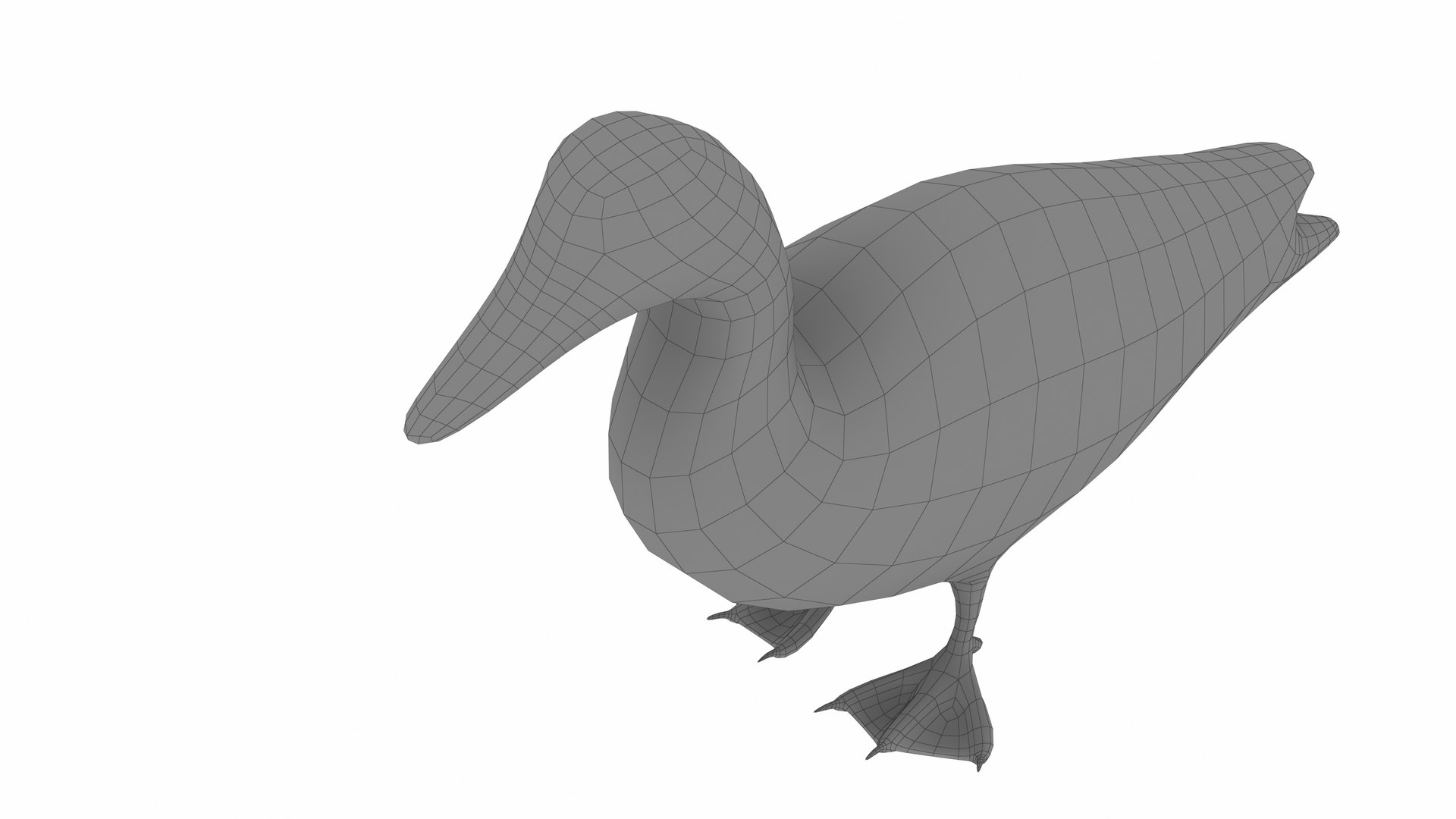 3D Mallard Duck Model - TurboSquid 2329560