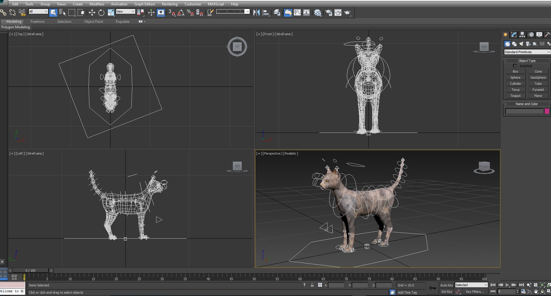 3D Cat Rigged Model - TurboSquid 1198016