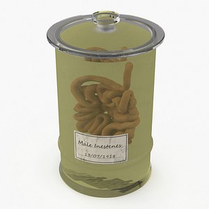 Human Small Intestine in Glass Jar model