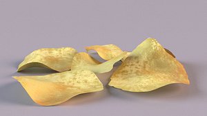 Potato chips advertising decor