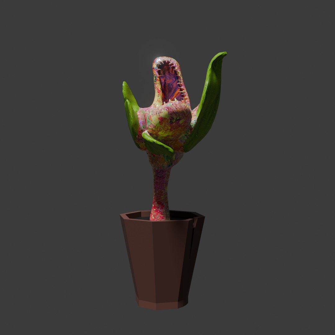 3D model Monster flower in a cracked pot https://p.turbosquid.com/ts-thumb/1U/6WBqmp/vO/06/jpg/1773834094/1920x1080/fit_q87/fc92651ea7d6423bf0032bb2f816e350f3a48509/06.jpg