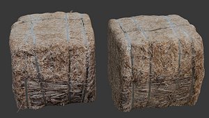 3D Hay Bale 3D Scan