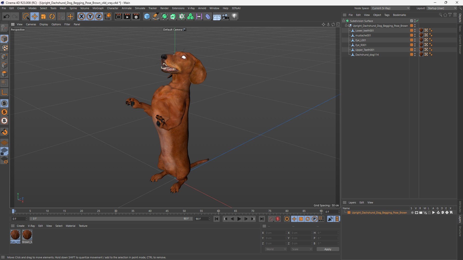 Upright Dachshund Dog Begging Pose Brown 3D model https://p.turbosquid.com/ts-thumb/1U/HD625A/El/upright_dachshund_dog_begging_pose_brown_1003/jpg/1756847932/1920x1080/fit_q87/89809ce34c73cb324a13df3551acbe274df272e7/upright_dachshund_dog_begging_pose_brown_1003.jpg