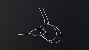 Zip Ties