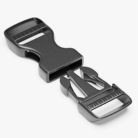 Buckle 1