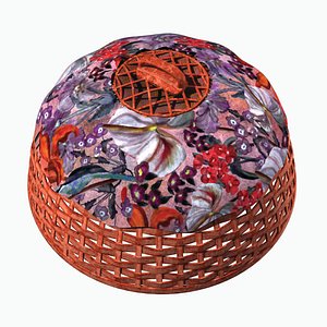 3D Food Cover