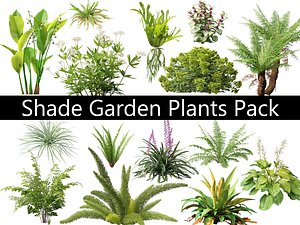 3D Shade Garden Plants Pack 08