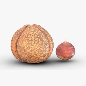 Chestnut Low Poly model
