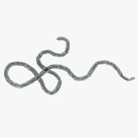 Ebola Virus 1