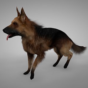 german shepherd l187 3D model
