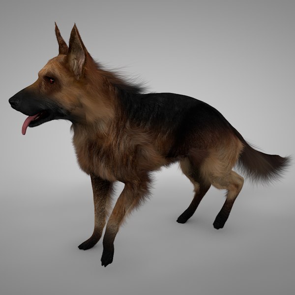 German Shepherd 3D Models For Download | TurboSquid