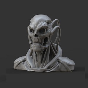 3D Cyber Skull Bust