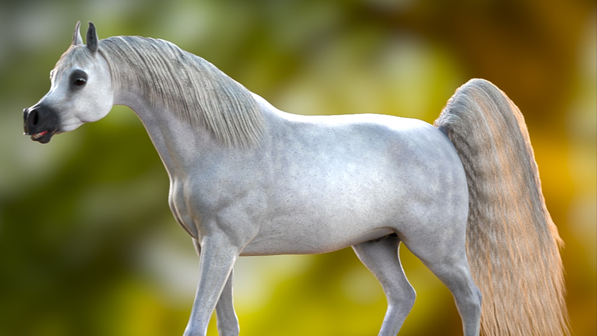 3D Arabian Horse Rig https://p.turbosquid.com/ts-thumb/1V/0oKbBE/5U/image/jpg/1730050803/1920x1080/fit_q87/b95de28e8bdbf437e003ebacb867c6d1a5254e7a/image.jpg
