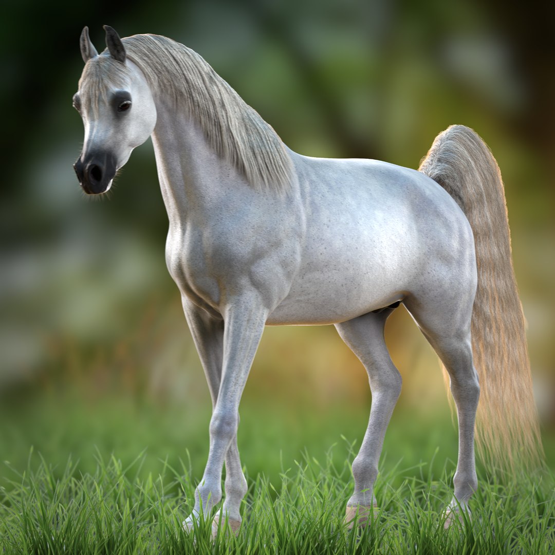 3D Arabian Horse Rig https://p.turbosquid.com/ts-thumb/1V/0oKbBE/72/preview4/png/1730049883/1920x1080/fit_q87/2d848e396ea878cef4cc4093b53d8049276e5a24/preview4.jpg