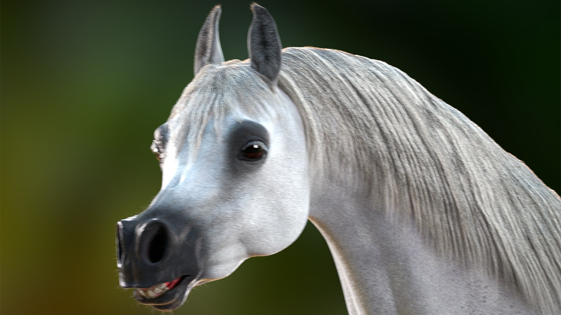 3D Arabian Horse Rig https://p.turbosquid.com/ts-thumb/1V/0oKbBE/Lz/product_01/png/1730053444/1920x1080/fit_q87/bf215ecff4a79d2dbc0591a24dac8ec4954c2ca7/product_01.jpg