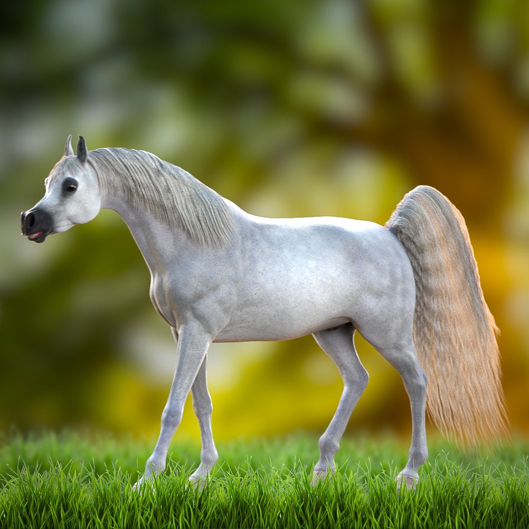 3D Arabian Horse Rig https://p.turbosquid.com/ts-thumb/1V/0oKbBE/MW/preview3/png/1730049870/1920x1080/fit_q87/99390016a31525ae0512fcf49087fd04198fc94b/preview3.jpg