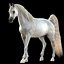 Aparejo de caballo árabe