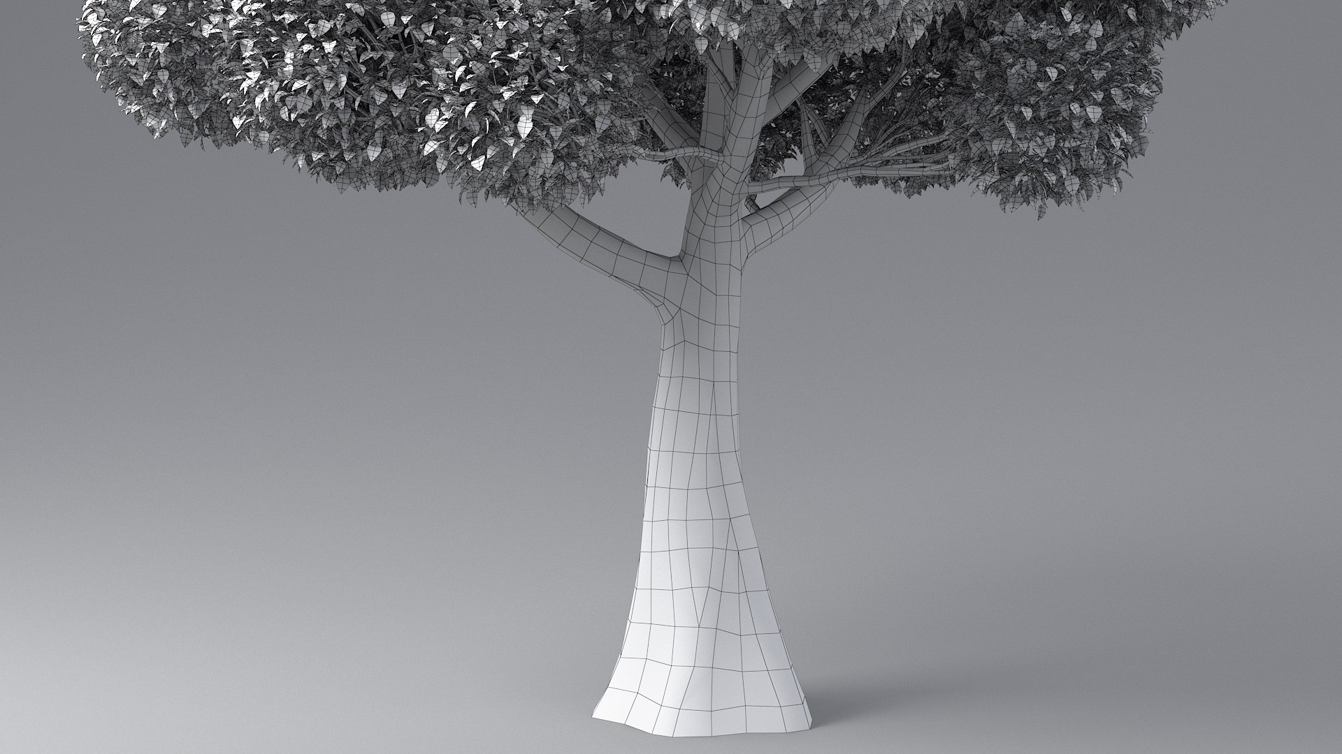 3D Cartoon Tree 6 https://p.turbosquid.com/ts-thumb/1V/0zlUAZ/Y0/tree_large_six_12/jpg/1656603025/1920x1080/fit_q87/ab0d6e952427b589ca8bbdfb74c970d7c2898707/tree_large_six_12.jpg