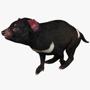 タスマニアデビル タスマニアデビル - Wikipedia