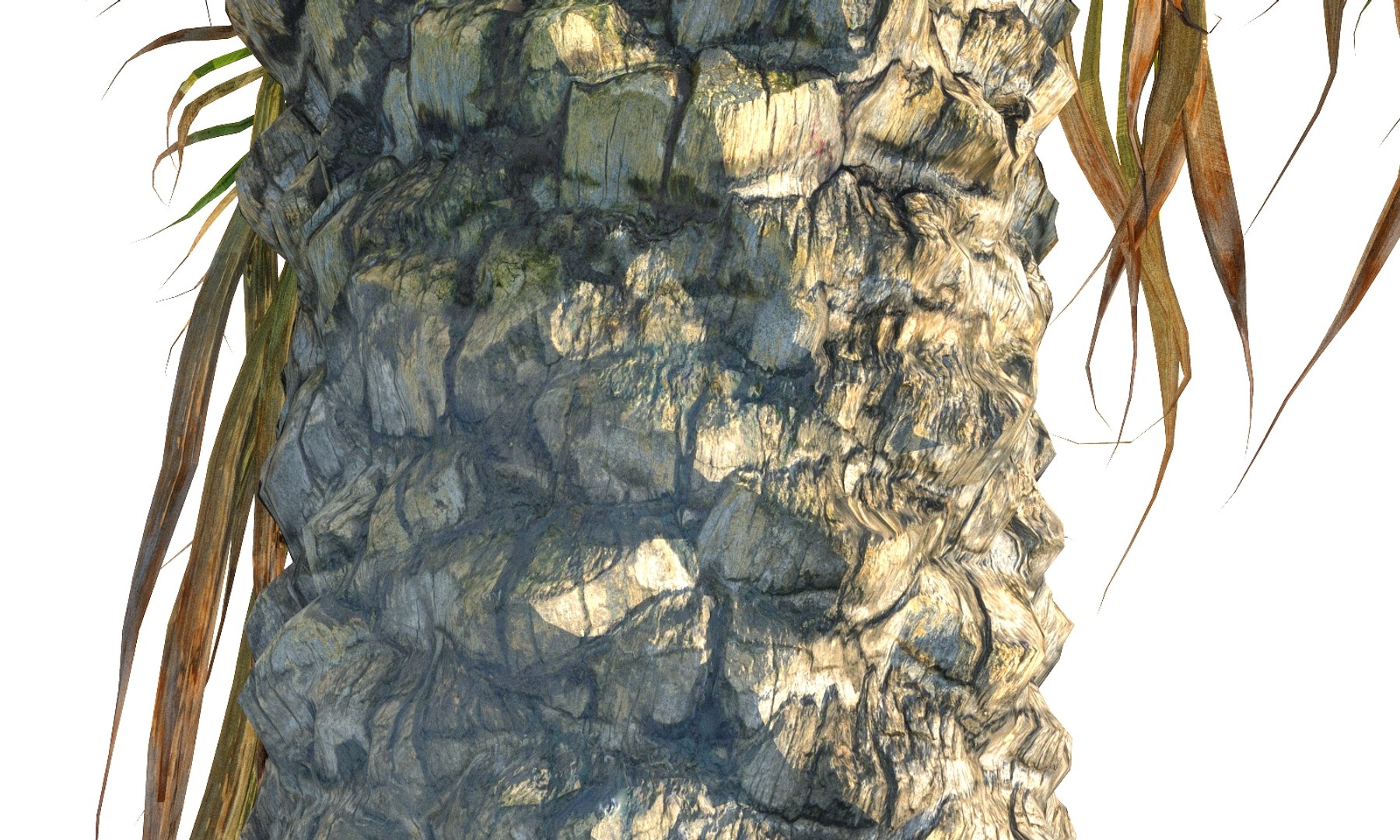 3D coconut palm pack 4 https://p.turbosquid.com/ts-thumb/1V/AkBcLI/UH6KqIEf/675689787/jpg/1546524001/1920x1080/fit_q87/0ea53f9ec136e8208582dde34ccc3762df3ee540/675689787.jpg