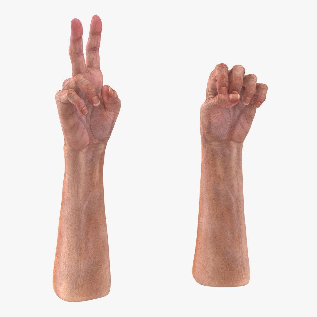 Old Man Hands 2 Rigged 3D model preview