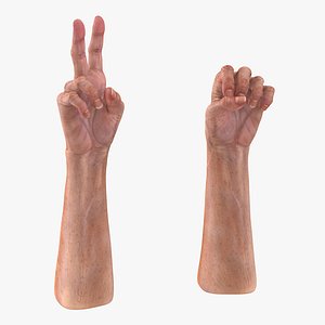old man hands 2 3d model