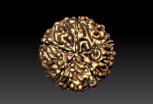 Rudraksh 3d model pendent