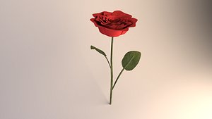 red rose 3D model