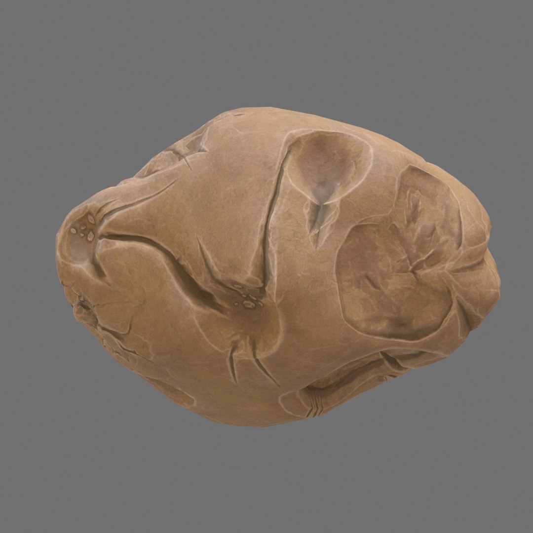 asteroid model https://p.turbosquid.com/ts-thumb/1V/dlb8Ht/31HtvQIH/10000/jpg/1544986370/1920x1080/fit_q87/14f8449d9fc40c1c57bb4e3c0f1abac13a26a457/10000.jpg