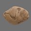 Asteroid