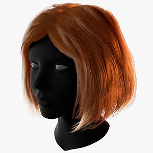 Female Haircut 1 3D model