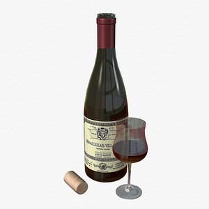3d wine beaujolais bottle