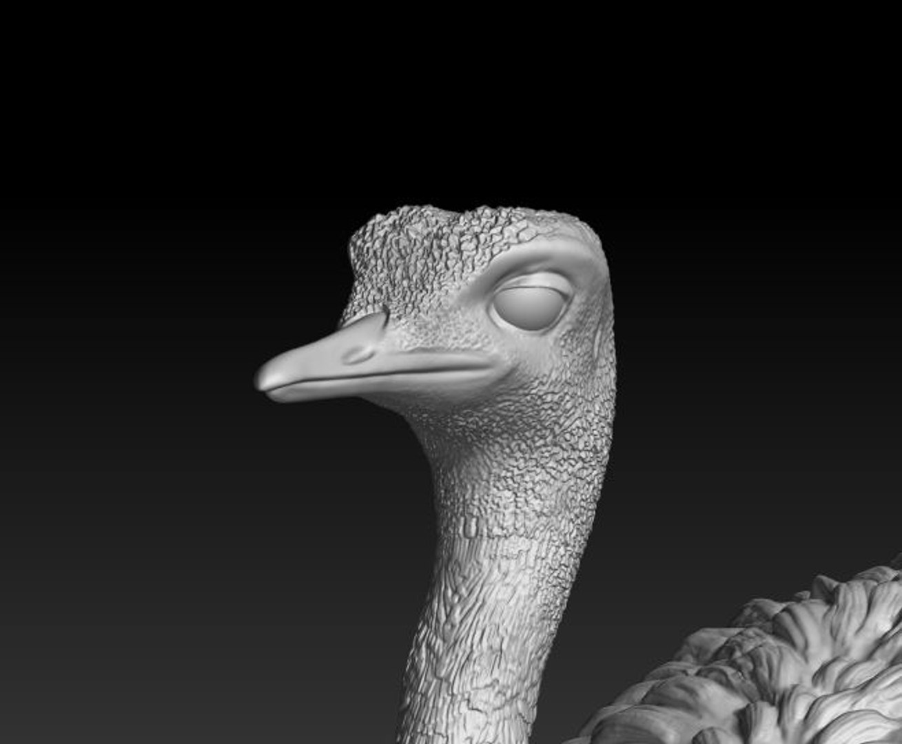 3D rhea choique https://p.turbosquid.com/ts-thumb/1W/0DPYLi/3TuJh2Sl/4/jpg/1551049447/1920x1080/fit_q87/8ae08fdfff851291ff1c327dacbb72a35b6898b3/4.jpg