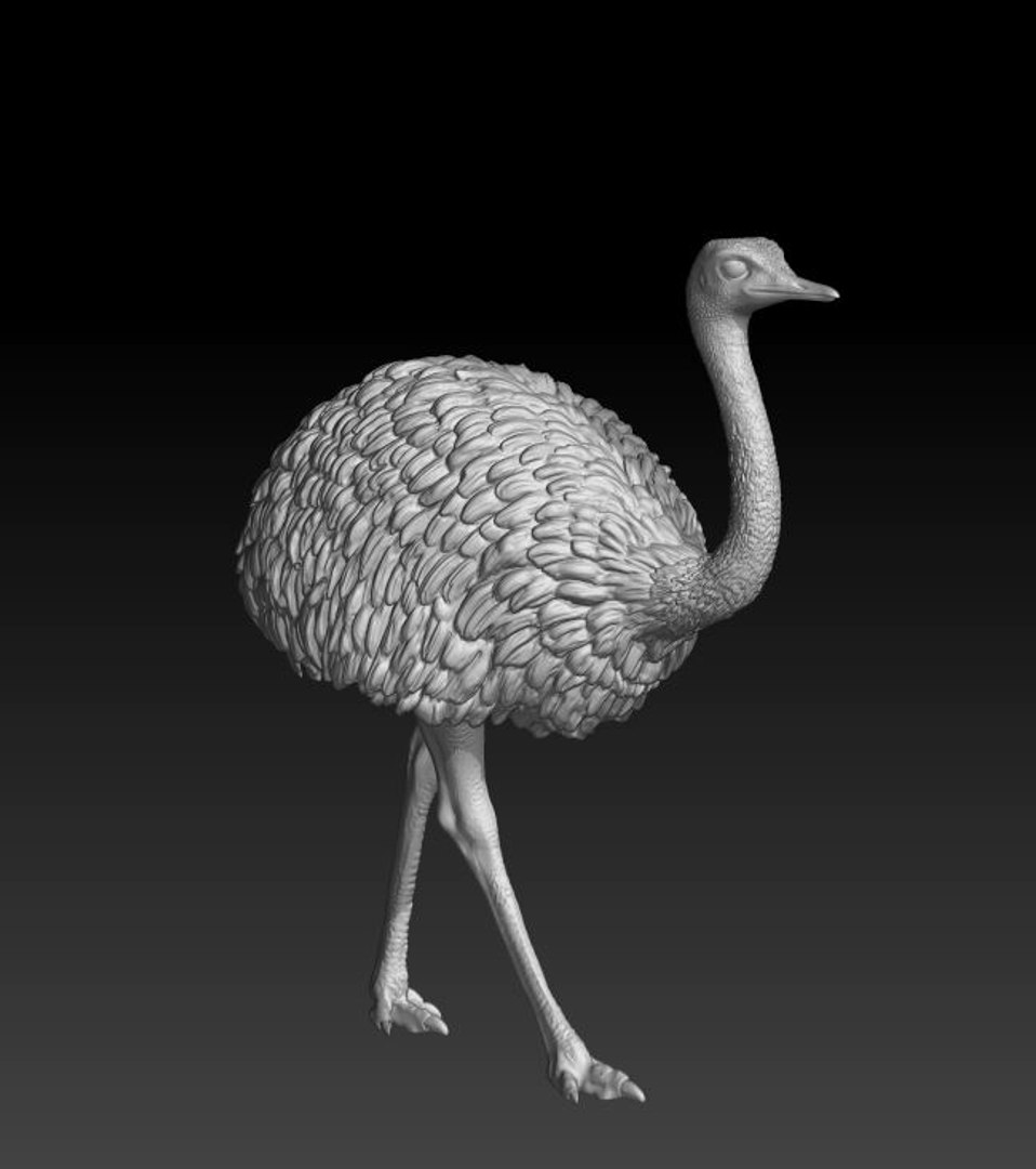 3D rhea choique https://p.turbosquid.com/ts-thumb/1W/0DPYLi/76kjQQda/6/jpg/1551049484/1920x1080/fit_q87/28ca6f005695af290979f1fddadf4ea0266e897b/6.jpg