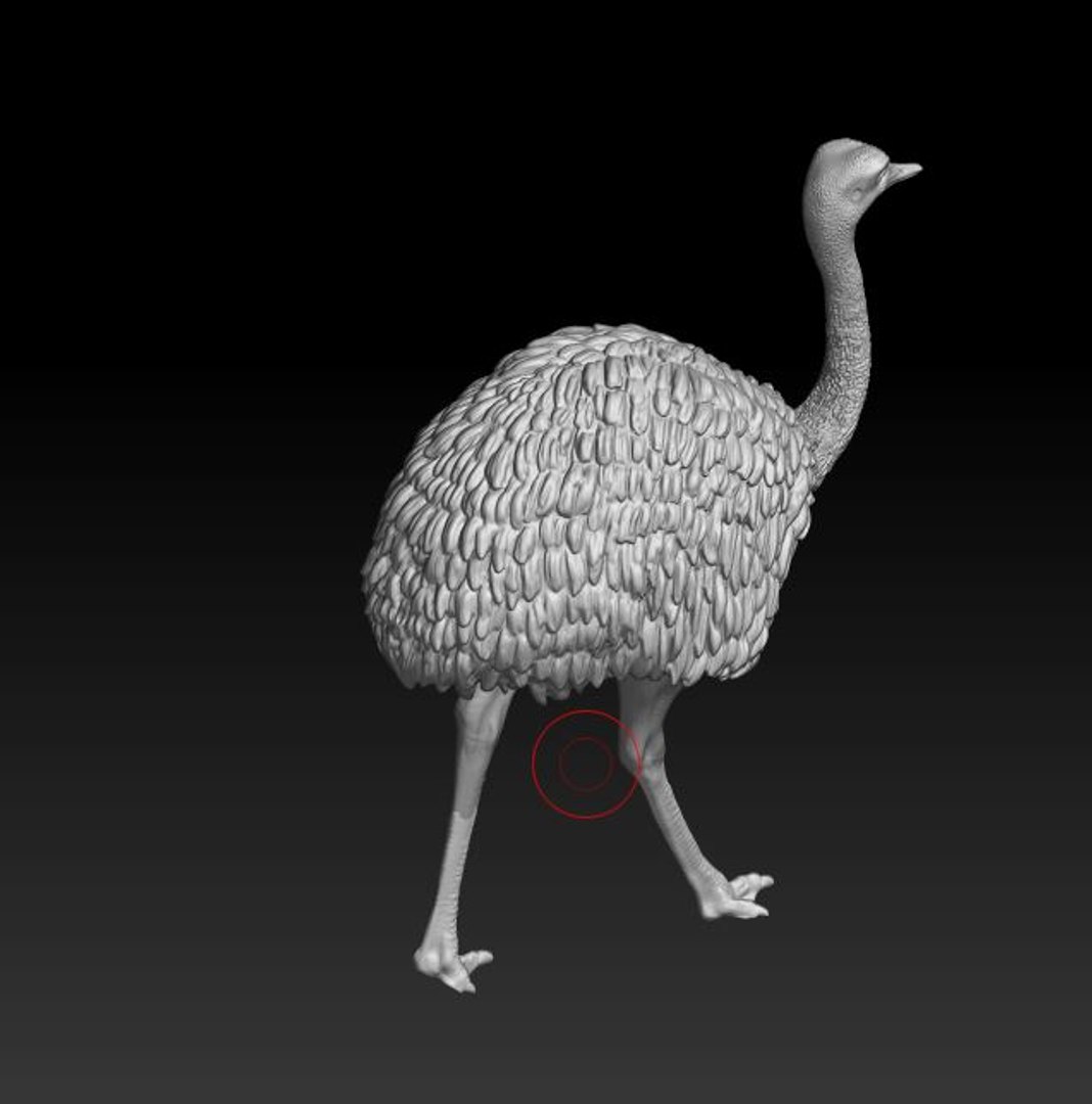 3D rhea choique https://p.turbosquid.com/ts-thumb/1W/0DPYLi/lEThzjgy/5/jpg/1551049465/1920x1080/fit_q87/71aae3375af3d4385852f4396775fd10a71f9f6f/5.jpg