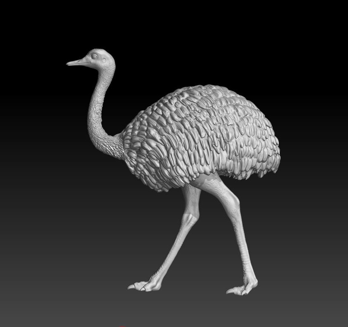 3D rhea choique https://p.turbosquid.com/ts-thumb/1W/0DPYLi/pBYNhBsb/3/jpg/1551049410/1920x1080/fit_q87/5be33246a4f426f4ad3f6291de76090205be01cd/3.jpg