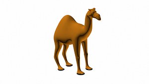 3D CAMEL