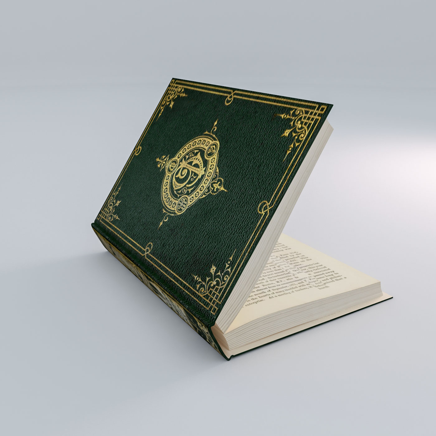 3d max book rigged