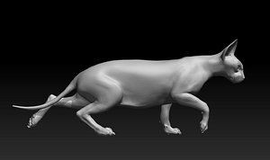 3d model sphynx cat