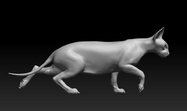 3d model sphynx cat