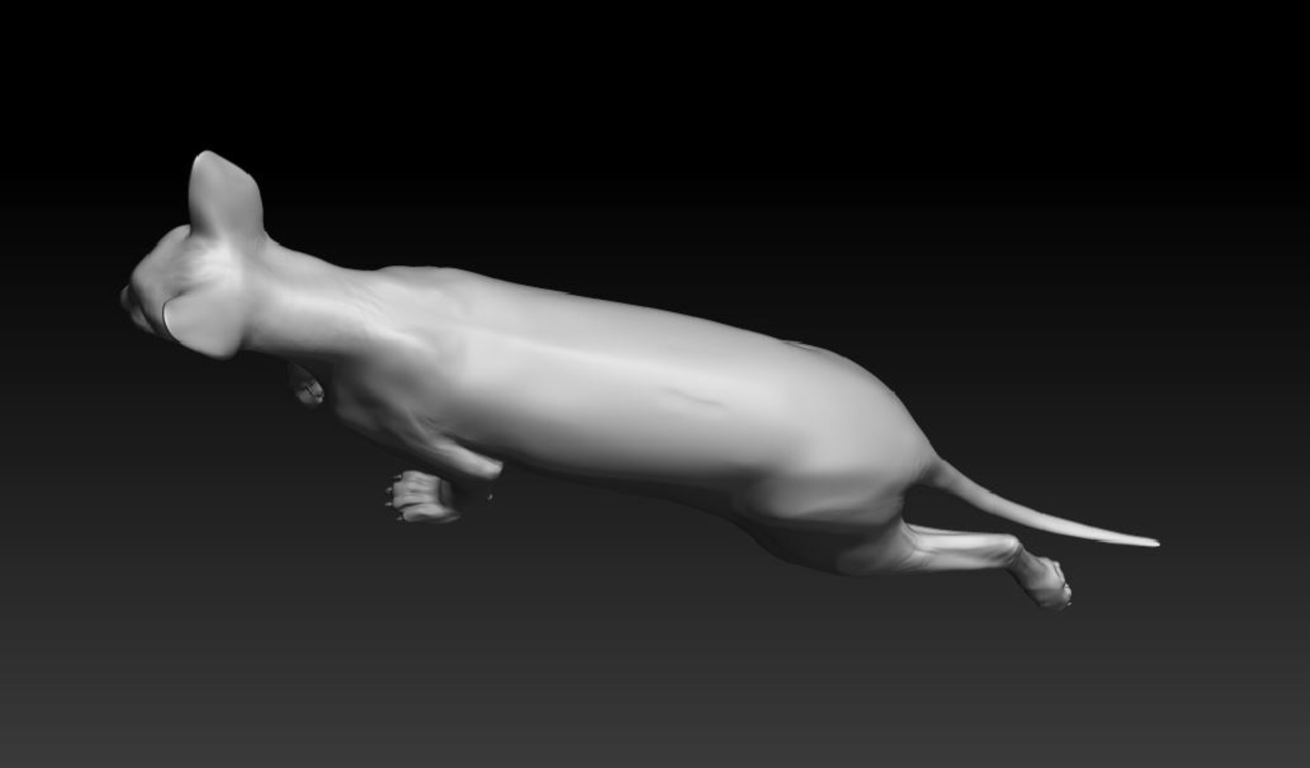 3d model sphynx cat https://p.turbosquid.com/ts-thumb/1W/JLj8Zo/4OtyiAgD/sphynxcat4/jpg/1466901585/1920x1080/fit_q87/d9df3baee3136d98c8efa9fdfbead6aa9350a924/sphynxcat4.jpg