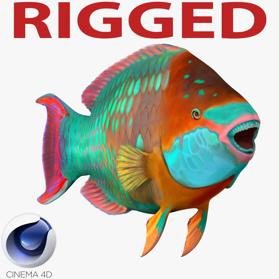 Rainbow Parrot Fish Rigged for Cinema 4D 3D model preview