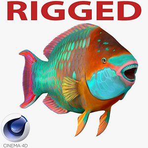 Rainbow Parrot Fish Rigged for Cinema 4D