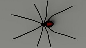 Black Widow Spider