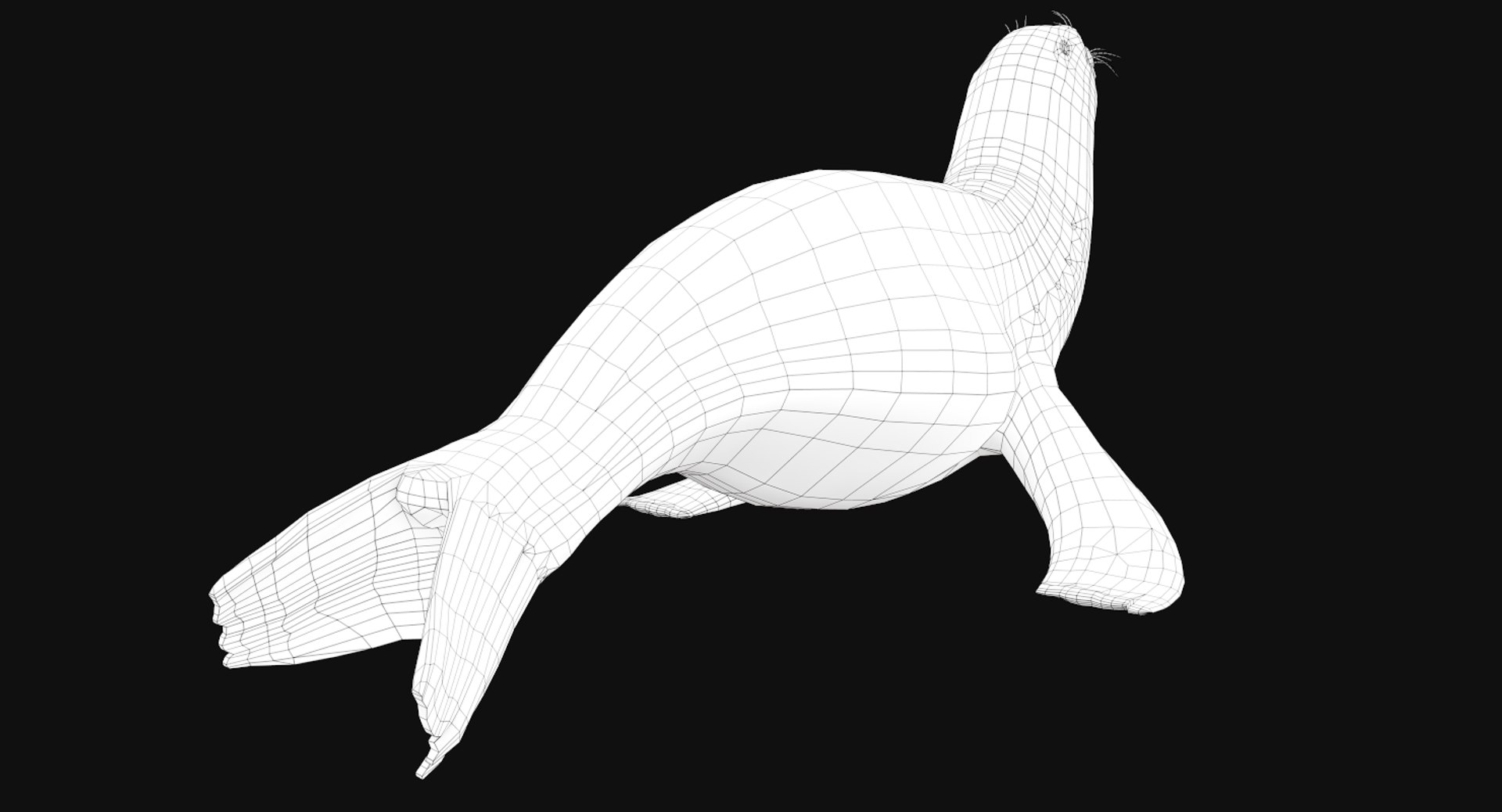 3D Realistic Sea Lion Rigged Model - TurboSquid 1304785