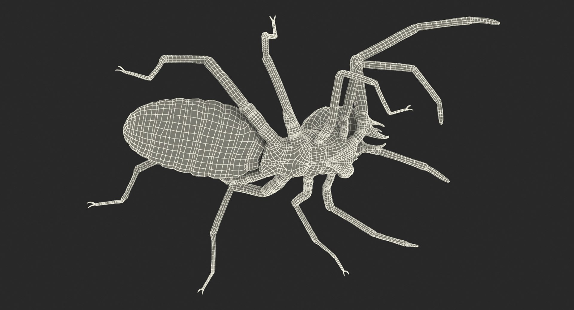 3D Wind Scorpion Spider - TurboSquid 1195514