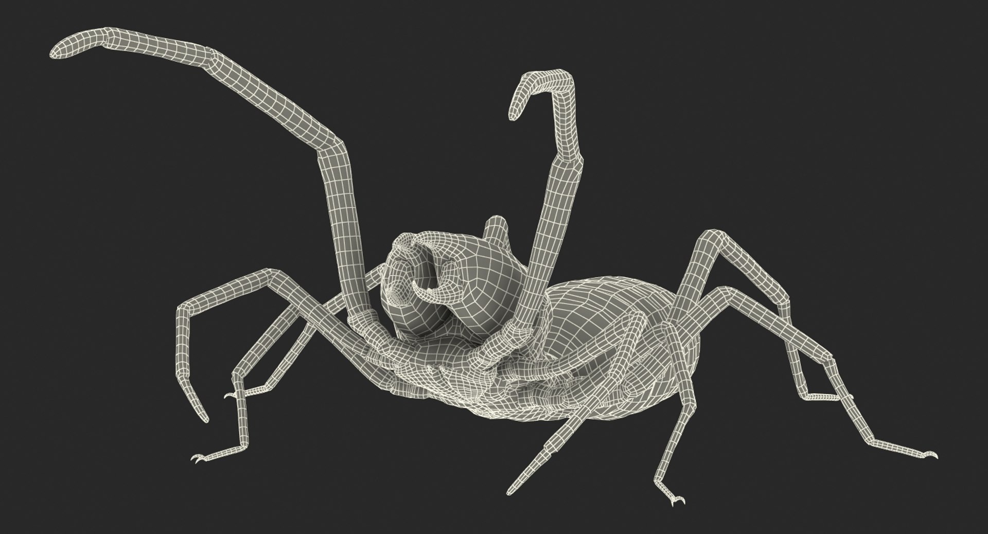 3D Wind Scorpion Spider - TurboSquid 1195514