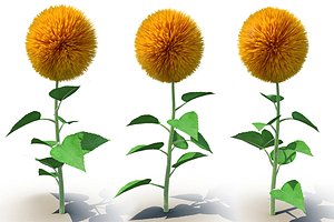 3d model sunflower flower